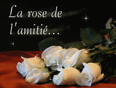 pour toi